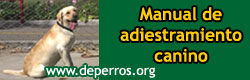 adiestramiento canino